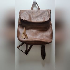 Camel Backpack
